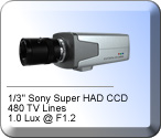 Security Camera Pro Style AC/DC Voltage